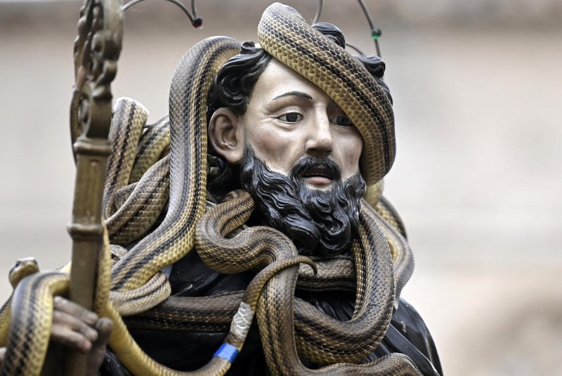 Live snakes cover the statue of St Dominic during the procession in the village of Cocullo, central Italy, on May 1st, 2024, as part of the traditional festival of the 'Serpari' (snake catchers). All the snakes found days before the festival are identified with a microchip, measured, weighed and subjected to laboratory tests by biologists as part of a study on the sensitivity of snakes to seismic movements. Each first of May the small village of Cocullo honors St. Dominic di Sora, patron saint protecting against snakebites and toothache. The snake catchers are also taking part in the monitoring of the snakes species in the region by taking part in a study carried out by a team of researchers from the Aldo Moro University of Bari and the Max Planck Institute. In some specimens a small transmitter is inserted to allow the monitoring of seismological activities, through satellite technology.At the end of the day, the snakes are released back into nature. (Photo by Tiziana FABI / AFP)Editoria: RELLocal: CoculloIndexador: TIZIANA FABISecao: religious eventFonte: AFPFotógrafo: STF<!-- NICAID(15750477) -->