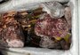 Mais de uma tonelada de produtos impróprios para o consumo é apreendida em mercados e açougue de São Francisco de Paula