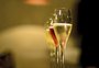 Brasil volta do Chile com 20 vinhos premiados em concurso; veja quais são