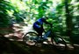 Entre curvas e obstáculos, conheça os ciclistas que praticam downhill em uma trilha no meio do Morro da Borússia