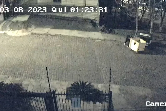 Reprodução / Reprodução Reprodução / Reprodução