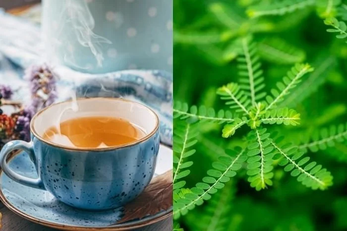 Mikhaylovskiy; Nattawut Ngernsantia / stock.adobe.com