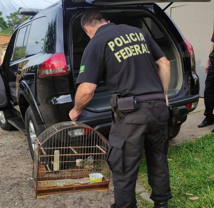 Policia Federal / Divulgação