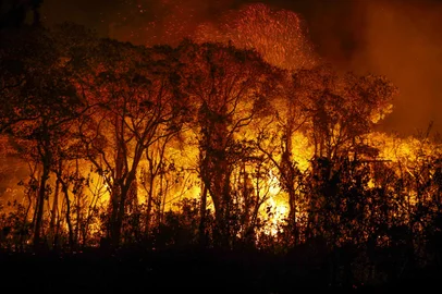 Incêndio florestal que atige o Pantanal Foto: Joédson Alves/Agência BrasilLocal: Porto JofreIndexador: JoÃ©dson Alves/AgÃªncia BrasilFonte: AgÃªncia Brasil/Empresa Brasil dFotógrafo: RepÃ³rter FotogrÃ¡fico<!-- NICAID(15600391) -->