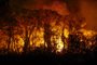 Incêndio florestal que atige o Pantanal Foto: Joédson Alves/Agência BrasilLocal: Porto JofreIndexador: JoÃ©dson Alves/AgÃªncia BrasilFonte: AgÃªncia Brasil/Empresa Brasil dFotógrafo: RepÃ³rter FotogrÃ¡fico<!-- NICAID(15600391) -->