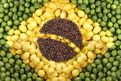 brazilian flag, collage from lemons and  coffee beansbrazilian flag, collage from lemons and coffee beans.Fonte: 200578282<!-- NICAID(15319304) -->