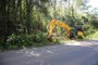 Árvores com risco de queda são removidas das margens da Rodovia dos Romeiros, em Farroupilha. No domingo, 10 de março, um ciclista morreu após ser atingido por uma árvore na via.<!-- NICAID(15704448) -->