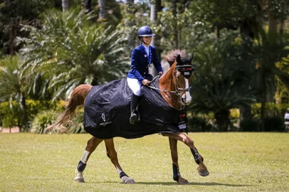 Vitória Rizzi de Almeida e Apollo Sotrima Fedrizzi Seguros - Jovem Cavaleiro B - 1.05 - aluna da Anette Titton De Carli, na Hípica da Serra - patrocinada por Sotrima Agrícola e Fedrizzi Seguros <!-- NICAID(15906613) -->