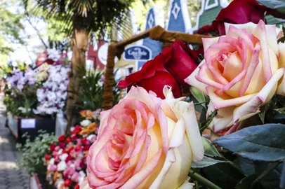 Holambra – sede da Expoflora, traz as principais tendências em flores e plantas para o “Dia das Mães” – uma das principais datas do segmento <!-- NICAID(15426011) -->