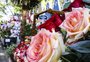 Venda de flores no Dia das Mães pode crescer até 10% no RS