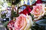 Holambra – sede da Expoflora, traz as principais tendências em flores e plantas para o “Dia das Mães” – uma das principais datas do segmento <!-- NICAID(15426011) -->