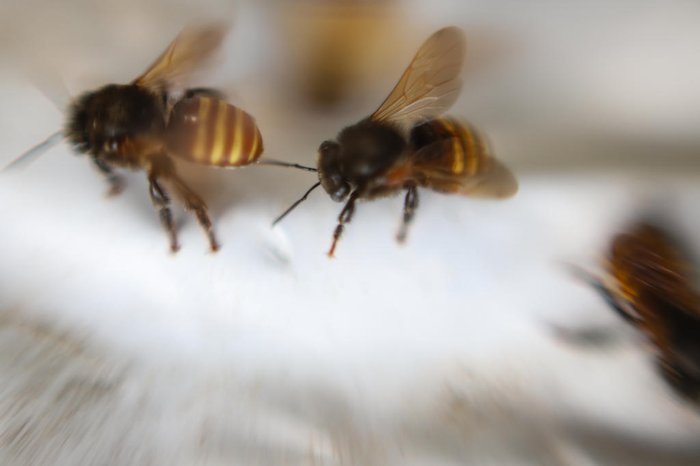 Duda Fortes / Agencia RBS