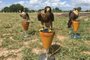 Irga contrata empresa especializada em falcoaria e manejo de fauna para EEA<!-- NICAID(15378789) -->