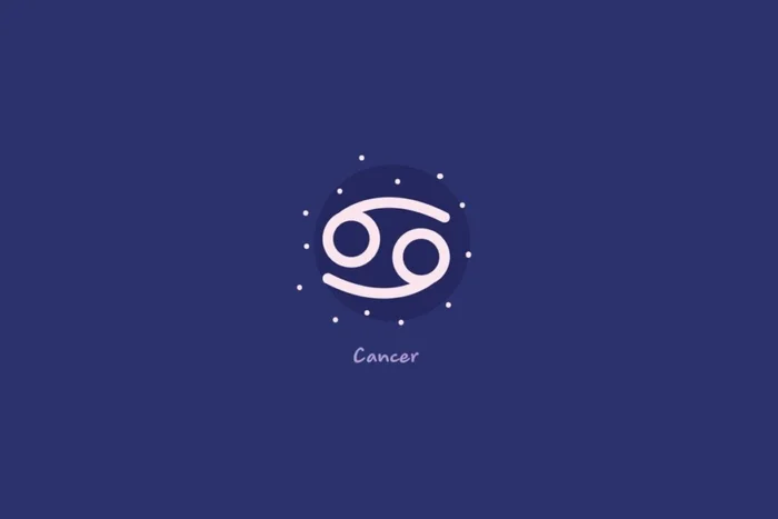 Moonberry_Studio / Shutterstock | Portal EdiCase