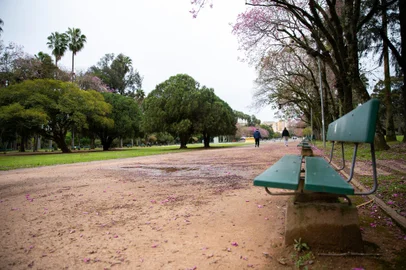 PORTO ALEGRE, RS, BRASIL, 28.08.2022: Manhã de domingo no Parque da Redenção. Foto: Camila Hermes/Agência RBS<!-- NICAID(15189321) -->