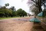 Nativas e exóticas, uso de tecnologia e cobertura verde: as curiosidades sobre as árvores dos dois maiores parques de Porto Alegre