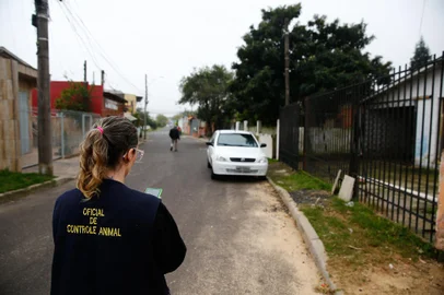 Porto Alegre, RS, Brasil - Começa o Censo animal que deve levantar dados aqui sobre o número de pets domésticos e de rua na capital. FOTOS: Jonathan Heckler, Agência RBS<!-- NICAID(15490853) -->