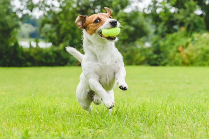alexei_tm / Shutterstock | Portal EdiCase
