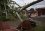 Tempestade derruba pelo menos 50 árvores em Esteio