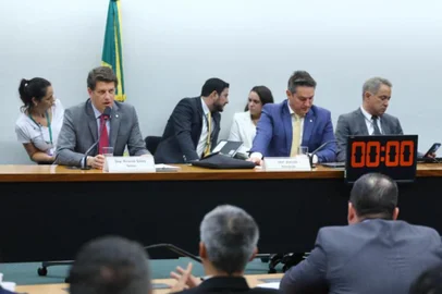 CPI sobre o Movimento dos Trabalhadores sem Terra, MST. Discussão e votação do Relatório do Relator. Dep. Ricardo Salles (PL-SP)<!-- NICAID(15547160) -->
