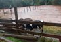 Chuva afeta ao menos 21 cidades no norte e noroeste do RS; número de desalojados chega a 176