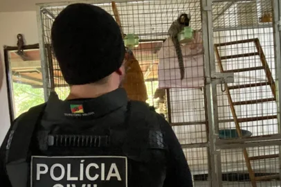 A Polícia Civil e a Patrulha Ambiental da Brigada Militar (Patram) realização uma ação conjunta, no interior de Canela, após receberem denúncias de que, em uma propriedade rural localizada na linha São João, teriam diversos animais em situação irregular e sofrendo maus-tratos.<!-- NICAID(15150466) -->