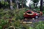 View of a car smashed by a fallen tree following a strong storm that hit Buenos Aires, on December 17, 2023. In the port city of Bahia Blanca, some 600km southwest of Buenos Aires, the powerful storm led to the deaths of at least 13 people when the roof of a sports club collapsed, authorities said. (Photo by ALEJANDRO PAGNI / AFP)Editoria: DISLocal: Buenos AiresIndexador: ALEJANDRO PAGNISecao: windstormsFonte: AFPFotógrafo: STR<!-- NICAID(15628285) -->