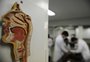 Passo Fundo está entre as sete cidades do RS que cumprem requisitos para formação médica ideal