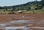 Cinco meses após enchente, governo libera crédito de R$ 5 bilhões para agricultores quitarem dívidas