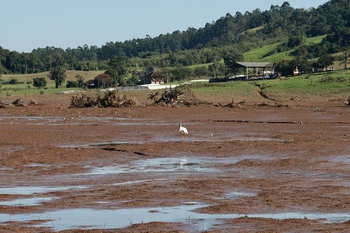 Jefferson Botega / Agencia RBS