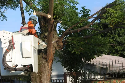 CAXIAS DO SUL, RS, BRASIL, 04/06/2025. Projeto prevê substituição de árvores que oferecem risco à rede elétrica em 22 bairros de Caxias. "Arborização +Segura" é executado pela Rio Grande Energia (RGE), com apoio técnico da prefeitura. Etapa iniciada nesta semana remove árvores em cerca de 70 ruas. Na foto, Rua Flávio Chaves, no bairro Esplanada. (Porthus Junior/Agência RBS)<!-- NICAID(16052557) -->