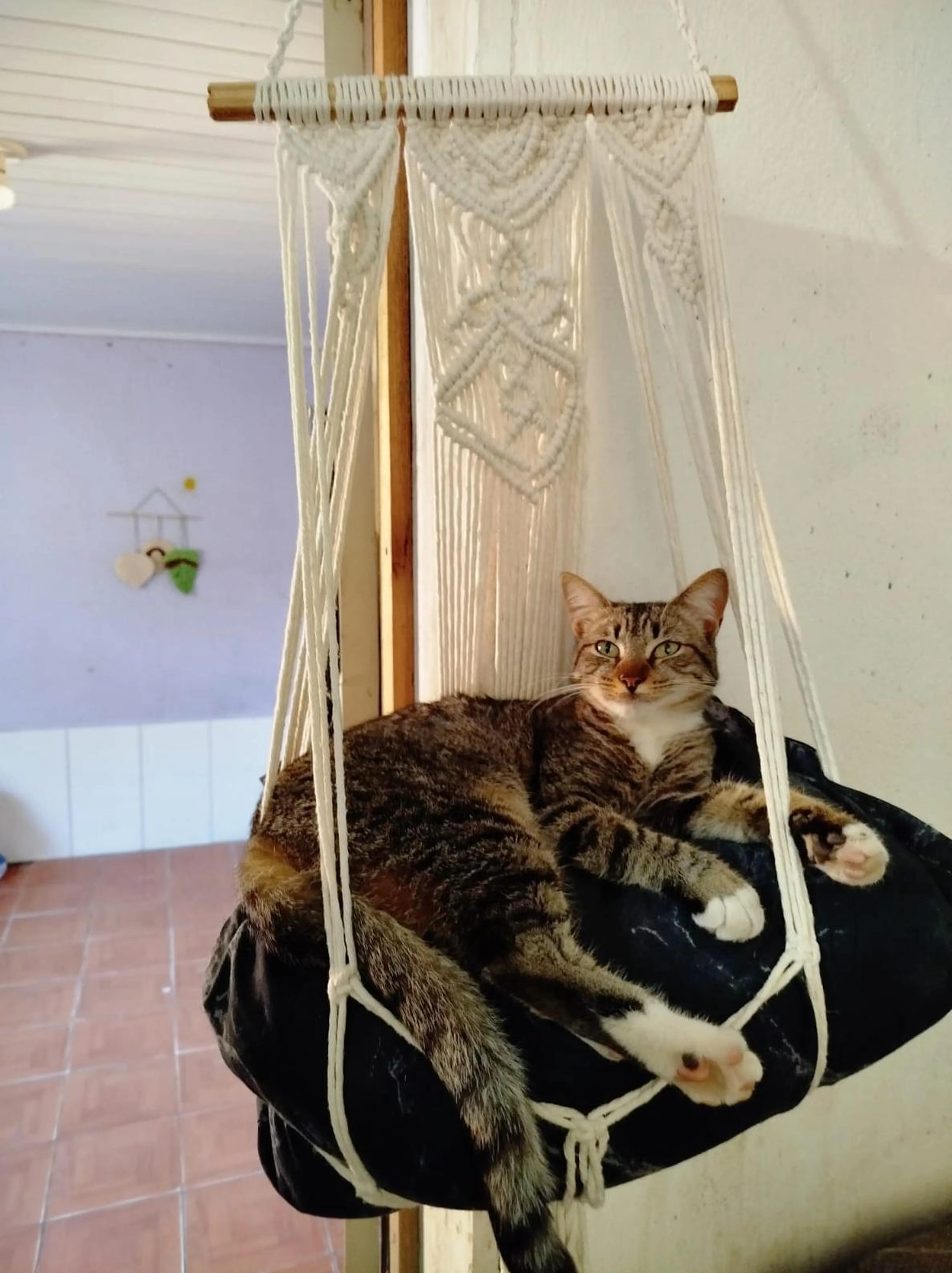 Priscila do Nascimento Silva Santos/Arquivo Pessoal