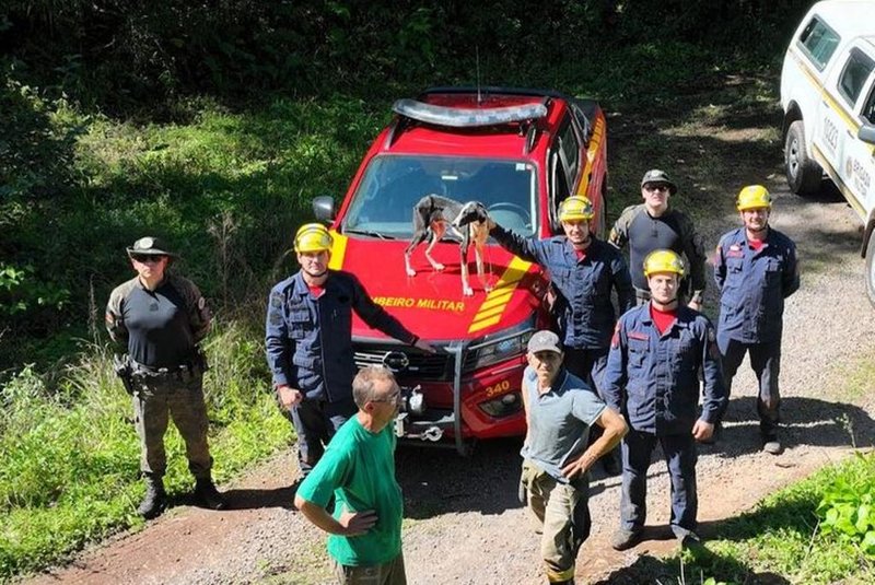 Bombeiros fazem rapel para resgatar cachorro preso por uma semana em penhasco de Caxias do Sul<!-- NICAID(15543214) -->