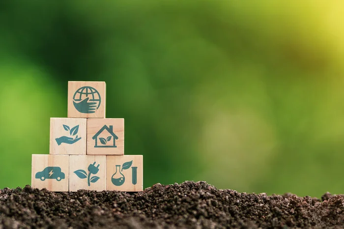 Sansert / stock.adobe.com Sansert / stock.adobe.com