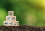 O poder do consumidor: como identificar "mentiras verdes" e provocar uma mudança radical das marcas