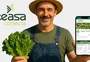 Ferramenta de vendas online de hortifrúti, carnes e embalagens da Ceasa entra no ar na semana que vem; veja como vai funcionar
