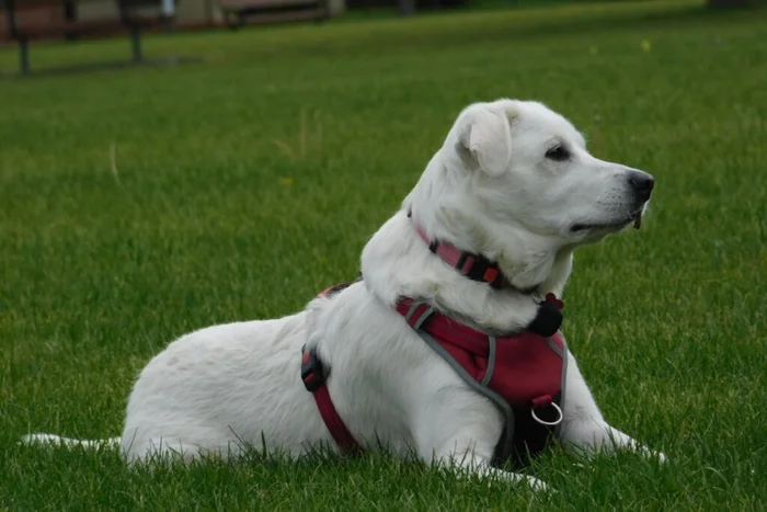 Wirestock Creators / Shutterstock | Portal EdiCase Wirestock Creators / Shutterstock | Portal EdiCase