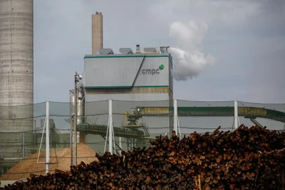 GUÁIBA, RS, BRASIL - 2021.11.03 - Terceira matéria do projeto Bússola sobre as ações de Sustentabilidade das empresas gaúchas. CMPC Celulose tem mais de 80% de energia limpa, renova resídios em energia. (Foto: ANDRÉ ÁVILA/ Agência RBS)<!-- NICAID(14931785) -->