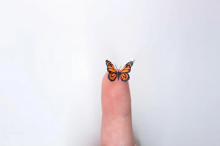 Natália Aia / Divulgação