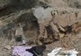 Encontrado fósseis de animais de 462 milhões de anos, não registrados 