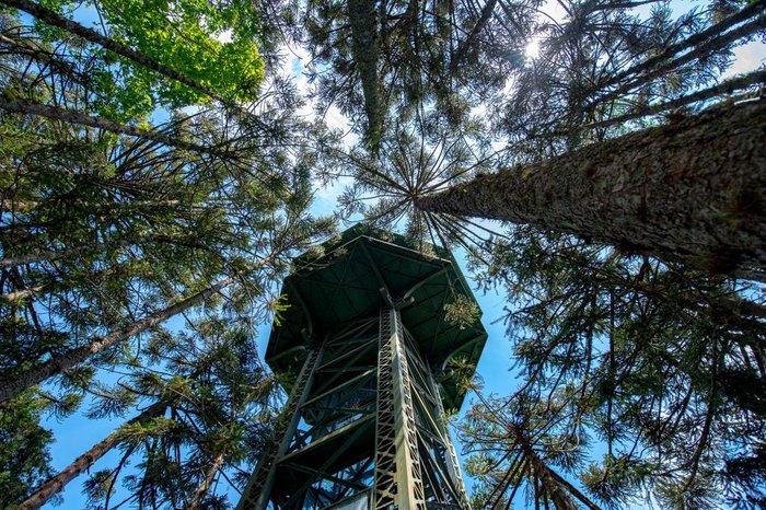 Parque do Caracol / Divulgação