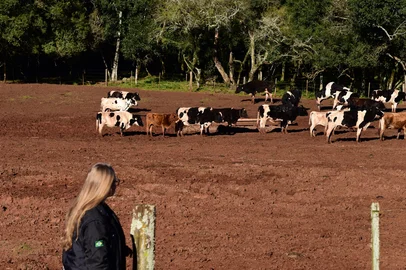 Pesquisa feita com jovens filhos de agricultores e que mostram fatores que levam os jovens a ficarem ou saírem do campo. Nas fotos estão a Ana Zorzan no Instituto Federal de Educação, Ciência e Tecnologia de  Sertão.<!-- NICAID(14155681) -->