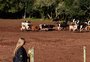 Juventude rural: raízes no campo, olhos no futuro