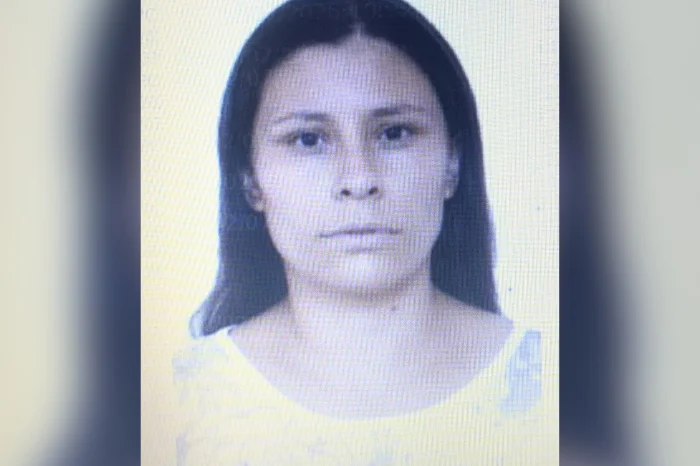 Polícia Civil / Divulgação