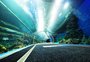 Gramado terá aquário com mais de 400 espécies e parque natural até 2025