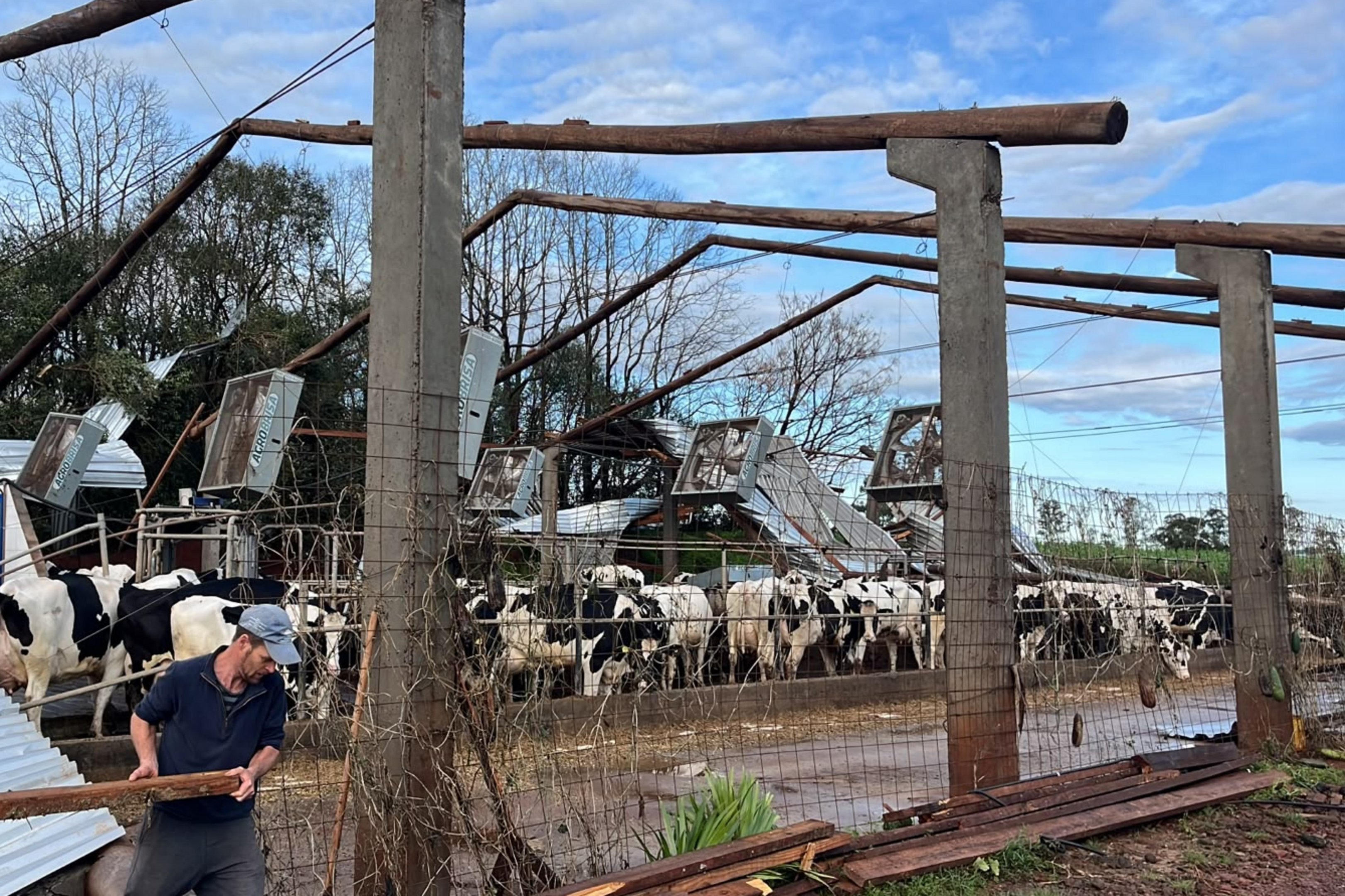 “Não caiu só um galpão, caiu uma vida inteira de trabalho”: família tenta se reerguer após temporal atingir propriedade rural em Selbach