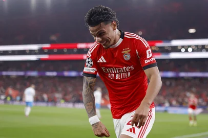 Benfica's Colombian midfielder #20 Richard Rios Montoya celebrates after Luxembourgers midfielder #18 Leandro Barreiro (Out of frame) scored the teams second goal during the UEFA Champions League league phase day 6 football match between SL Benfica and Napoli at Estadio da Luz in Lisbon on December 10, 2025. (Photo by FILIPE AMORIM / AFP)<!-- NICAID(16184607) -->