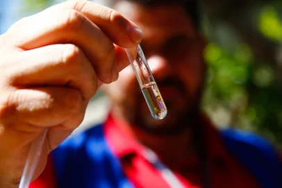 Porto Alegre, RS, BrasilAgentes da prefeitura realizam vistorias educativas para concientização sobre a Dengue no bairro Restinga. Em uma das casas foi encontrado acumulo de água com larvas e pupas de mosquito que foram levadas para análise.Indexador: Jonathan Hgeckler<!-- NICAID(15673686) -->