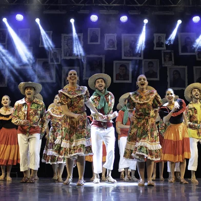 Festival Internacional de Folclore de Nova Prata<!-- NICAID(15126675) -->