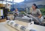 Mão de obra feminina na indústria cresce na Serra e traz bons resultados às empresas